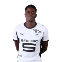 Brice Samba