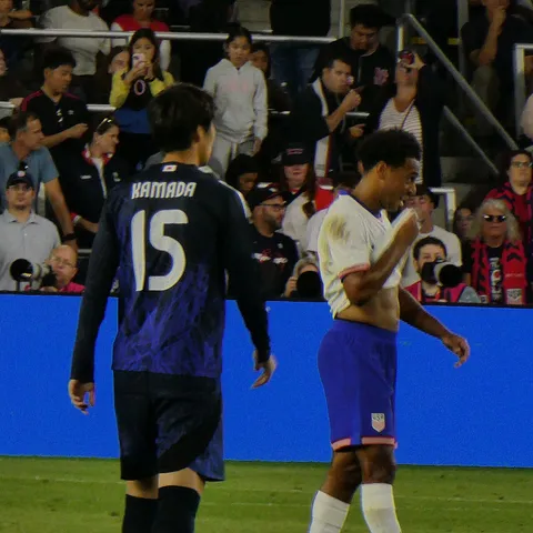 Daichi Kamada